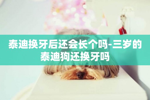 泰迪換牙后還會長個嗎-三歲的泰迪狗還換牙嗎