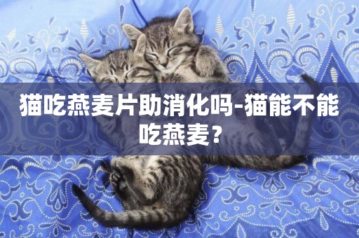 貓吃燕麥片助消化嗎-貓能不能吃燕麥？
