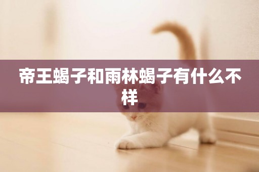 帝王蝎子和雨林蝎子有什么不樣