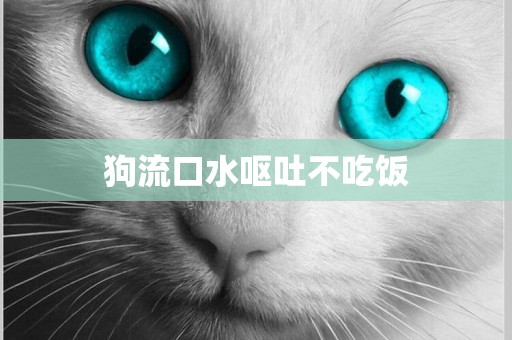 狗流口水嘔吐不吃飯