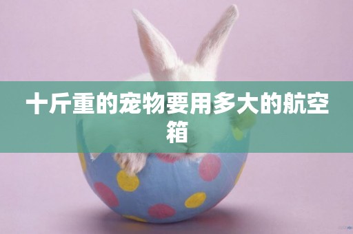 十斤重的寵物要用多大的航空箱