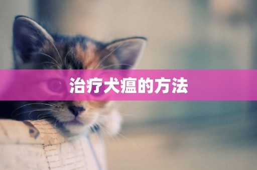 治療犬瘟的方法
