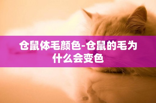 倉鼠體毛顏色-倉鼠的毛為什么會變色