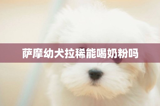 薩摩幼犬拉稀能喝奶粉嗎