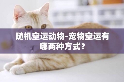 隨機空運動物-寵物空運有哪兩種方式？