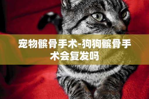 寵物髕骨手術-狗狗髕骨手術會復發嗎