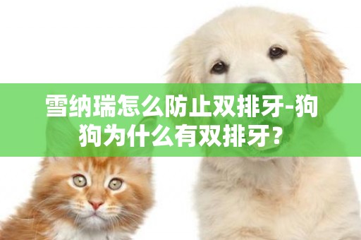 雪納瑞怎么防止雙排牙-狗狗為什么有雙排牙？