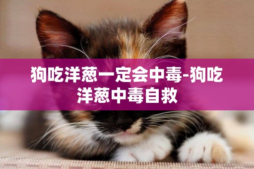 狗吃洋蔥一定會中毒-狗吃洋蔥中毒自救