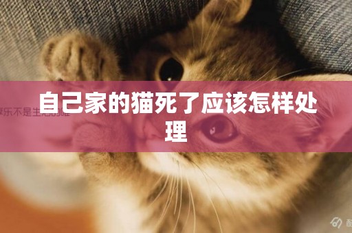 自己家的貓死了應該怎樣處理