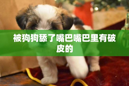 被狗狗舔了嘴巴嘴巴里有破皮的