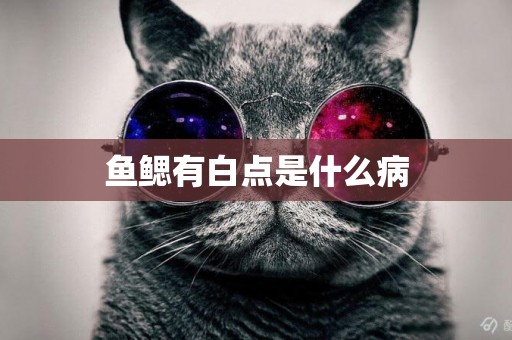 魚鰓有白點是什么病