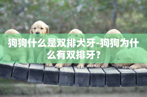 狗狗什么是雙排犬牙-狗狗為什么有雙排牙？