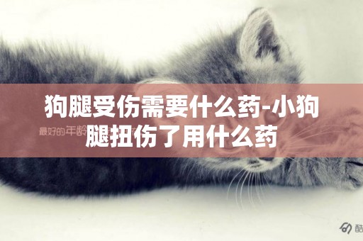 狗腿受傷需要什么藥-小狗腿扭傷了用什么藥