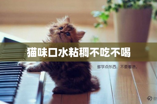貓味口水粘稠不吃不喝