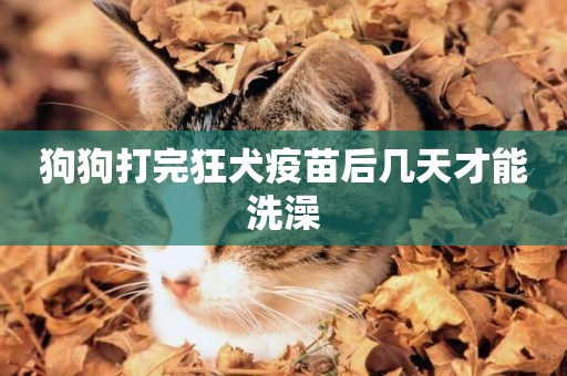 狗狗打完狂犬疫苗后幾天才能洗澡
