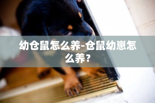 幼倉鼠怎么養-倉鼠幼崽怎么養？