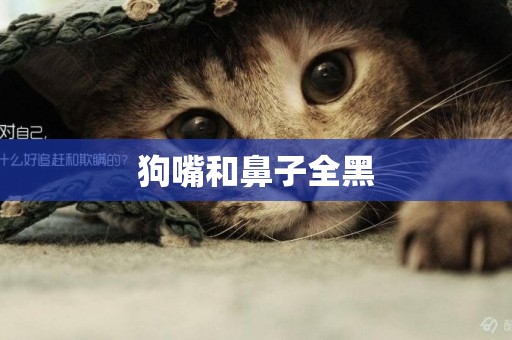 狗嘴和鼻子全黑