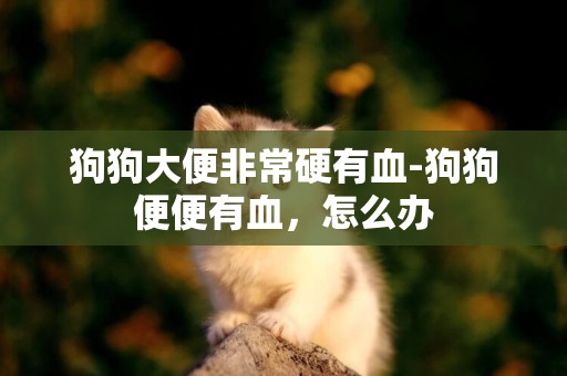 狗狗大便非常硬有血-狗狗便便有血，怎么辦