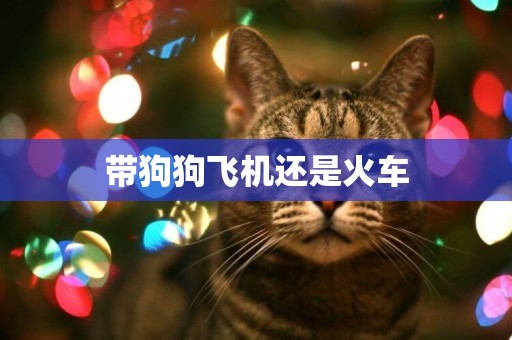 帶狗狗飛機還是火車