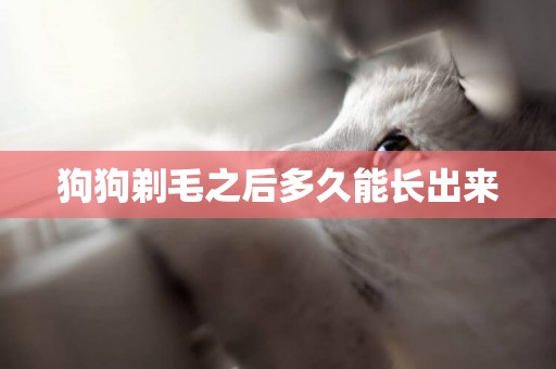 狗狗剃毛之后多久能長出來