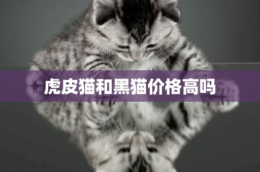 虎皮貓和黑貓價格高嗎