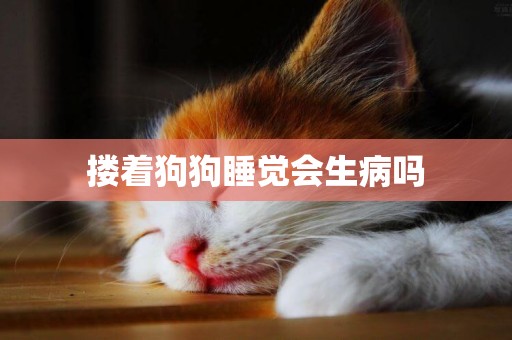 摟著狗狗睡覺會生病嗎