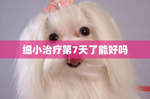 細小治療第7天了能好嗎