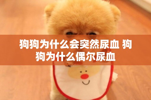 狗狗為什么會突然尿血 狗狗為什么偶爾尿血