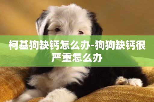 柯基狗缺鈣怎么辦-狗狗缺鈣很嚴重怎么辦