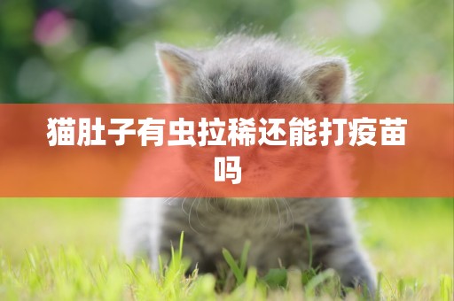 貓肚子有蟲拉稀還能打疫苗嗎