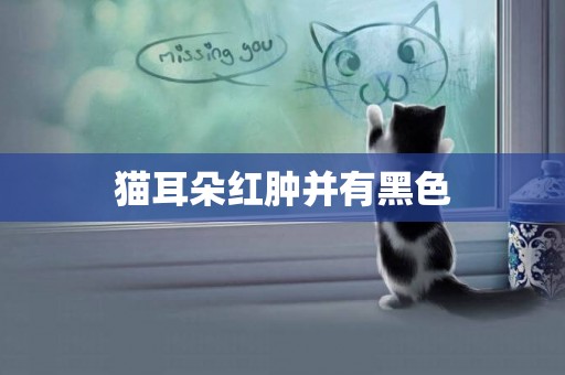 貓耳朵紅腫并有黑色