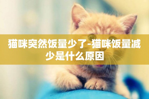 貓咪突然飯量少了-貓咪飯量減少是什么原因