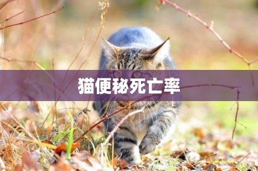 貓便秘死亡率