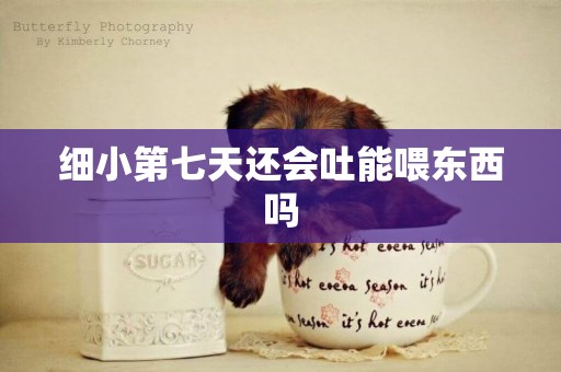 細小第七天還會吐能喂東西嗎