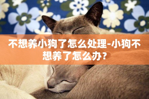 不想養小狗了怎么處理-小狗不想養了怎么辦？