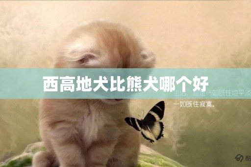 西高地犬比熊犬哪個好