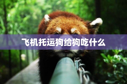 飛機托運狗給狗吃什么