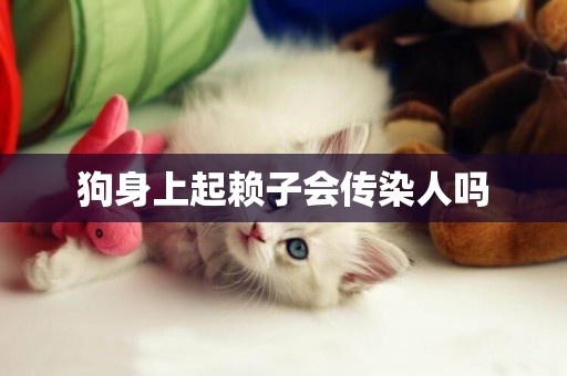 狗身上起賴子會傳染人嗎