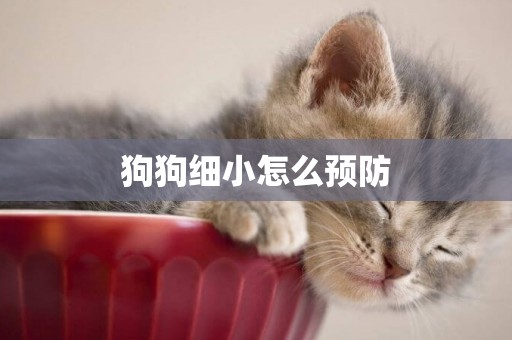狗狗細小怎么預防