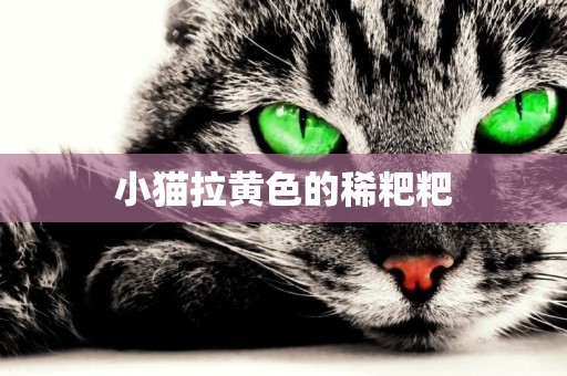 小貓拉黃色的稀粑粑