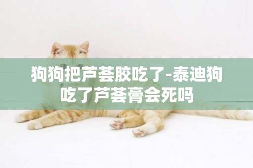 狗狗把蘆薈膠吃了-泰迪狗吃了蘆薈膏會死嗎