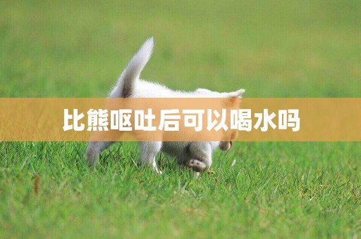 比熊嘔吐后可以喝水嗎