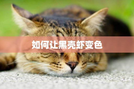 如何讓黑殼蝦變色