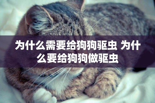 為什么需要給狗狗驅蟲 為什么要給狗狗做驅蟲