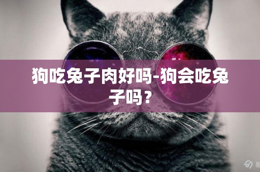 狗吃兔子肉好嗎-狗會吃兔子嗎？