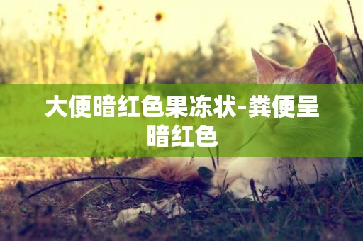大便暗紅色果凍狀-糞便呈暗紅色