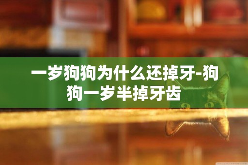 一歲狗狗為什么還掉牙-狗狗一歲半掉牙齒