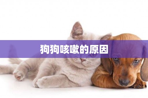 狗狗咳嗽的原因
