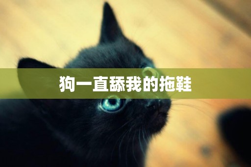 狗一直舔我的拖鞋