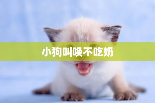 小狗叫喚不吃奶